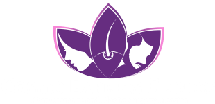 cosmo experts clinic